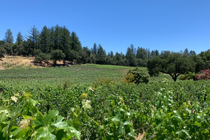 8-Hour Custom Private Napa and Sonoma Wine Tour - Pickup Details