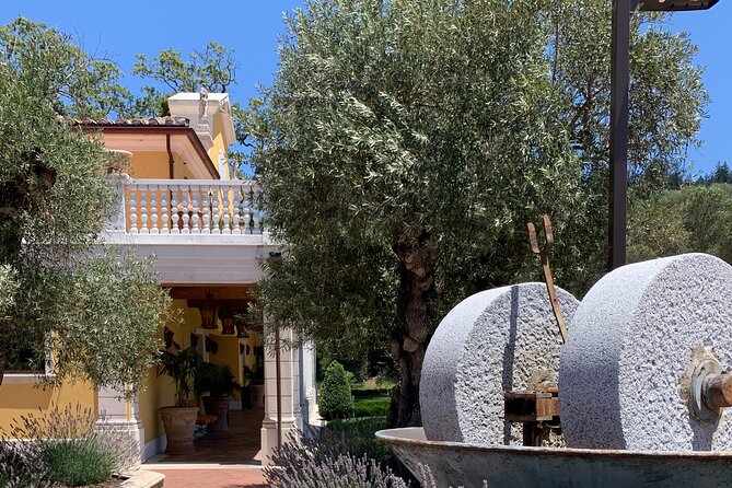 8-Hour Custom Private Napa and Sonoma Wine Tour - Customization Options