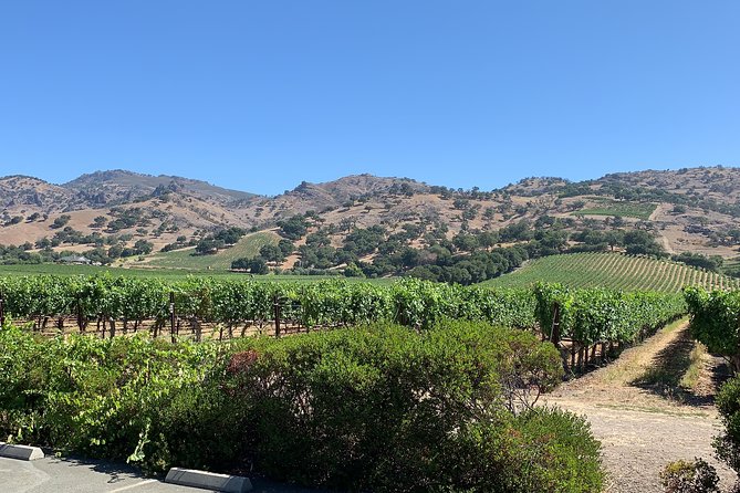 8-Hour Custom Private Napa and Sonoma Wine Tour - Cancellation Policy
