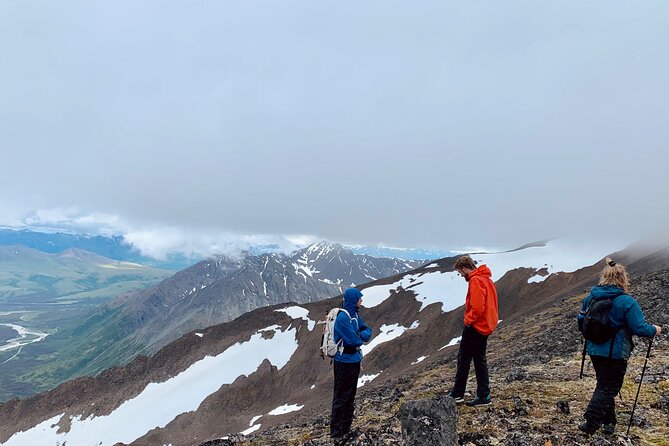 8 Hour Denali Mountainous Hiking Activity - Pickup and Arrival Details