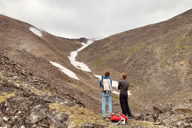 8 Hour Denali Mountainous Hiking Activity - Booking and Group Size