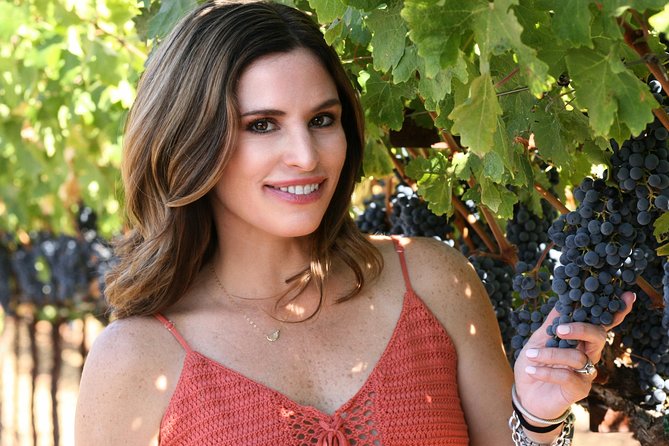 8-Hour Exclusive Wine Tour Experience for up to 6 Guests / Napa-Sonoma - Local Expert Guidance