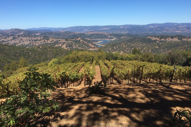 8-Hour Exclusive Wine Tour Experience for up to 6 Guests / Napa-Sonoma - Wine Tasting Opportunities