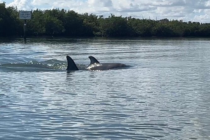 8-Hour Jungle Tour and Lagoon Passage to the Ocean in Fort Pierce - Premium Equipment Provided