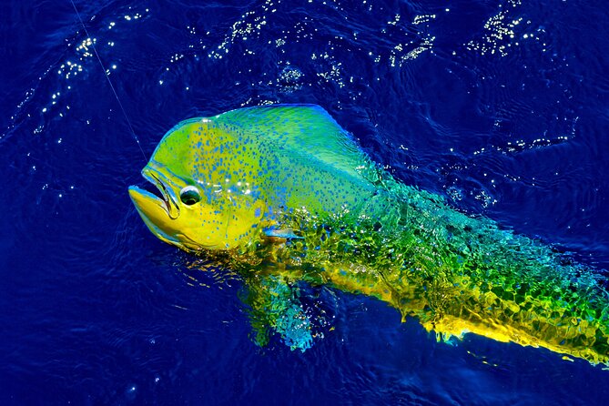 8 Hour Maui Private Fishing With Steady Pressure Charters - Booking Your Adventure