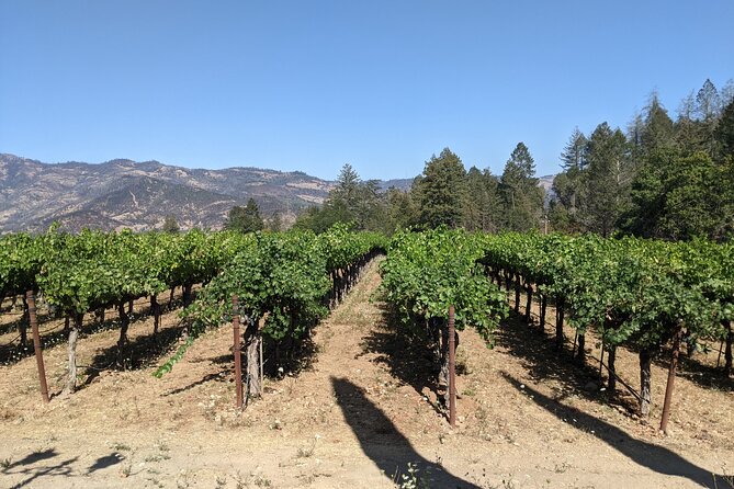 8 Hour Napa and Sonoma Valley Tour - Pickup and Meeting Points