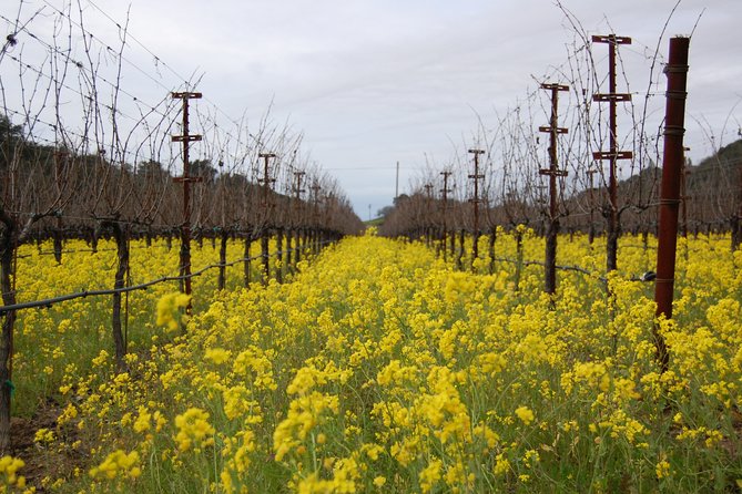 8 Hour Napa Valley Wine Tour - Pre-planned & Custom - Participation Requirements and Policies