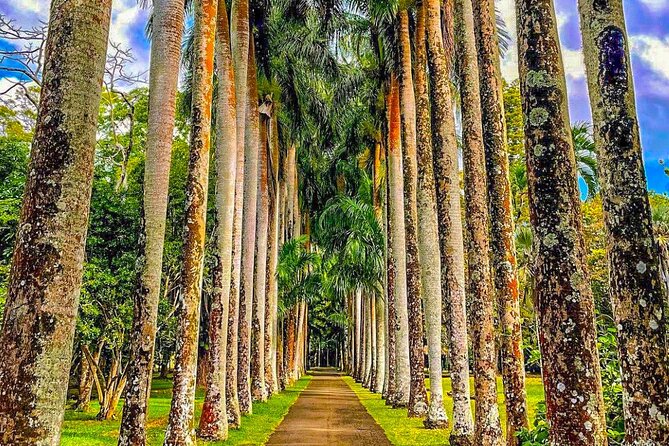 8-Hour Private City and North Tour in Mauritius - Questions About Your Stay
