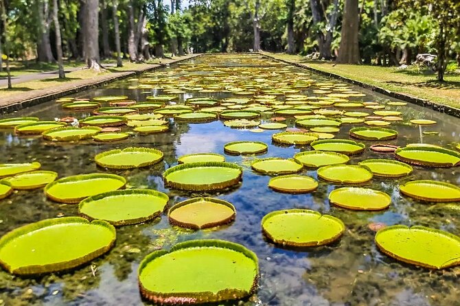 8-Hour Private City and North Tour in Mauritius - Booking Your Stay