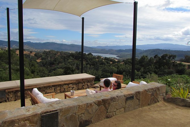 8-Hour Private, Customized Wine Tour up to 6 Guests Napa Valley & Sonoma - Bottled Water and Snacks