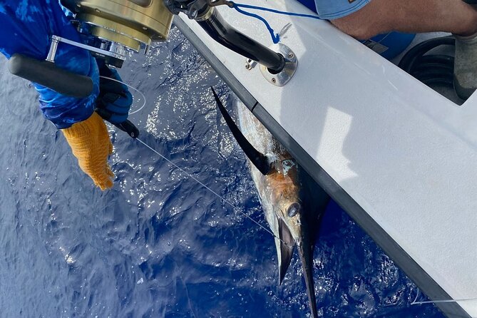 8 Hour Private Fishing Charter in Kailua-Kona, Hawaii - Frequently Asked Questions