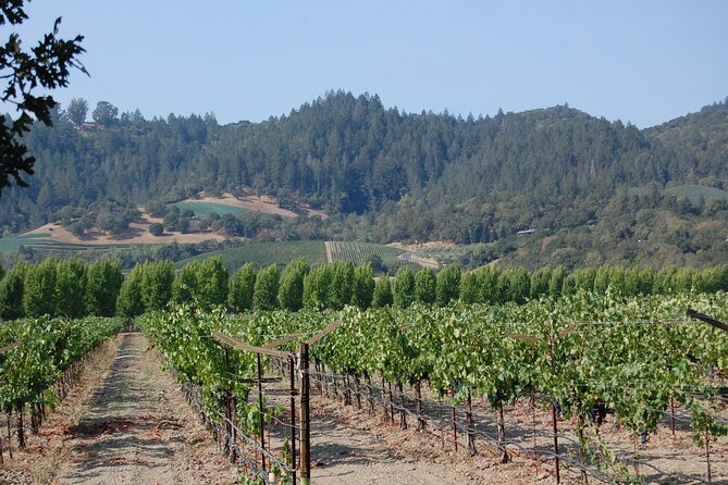 8 Hour Private Napa Wine Tasting Tour With a Sample Stops - Additional Information