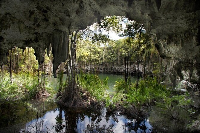 8-Hour Private Santo Domingo Tour From La Romana and Bayahibe - Departure and Farewell