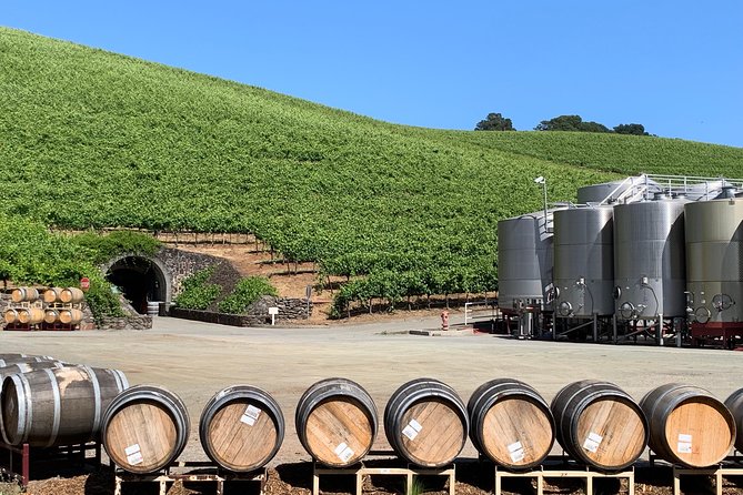 8-Hour Private Sonoma or Napa Wine Tour With Concierge Service - Customization and Planning
