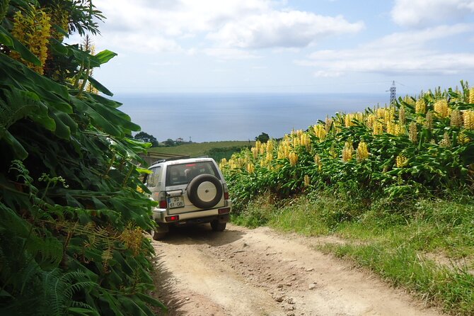 8-Hour Private Tour in 4x4 Vehicle From Ponta Delgada - Flexible Cancellation Policy and Pricing