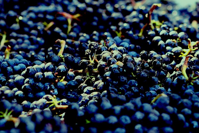 8 Hour Private Tour in Wine Country From San Francisco - Inclusions and Costs