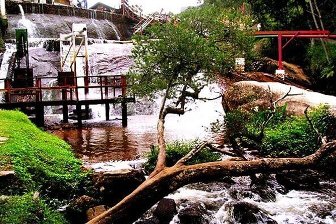 8 Hour Private Tour of Campos Do Jordão - Booking and Payment Options