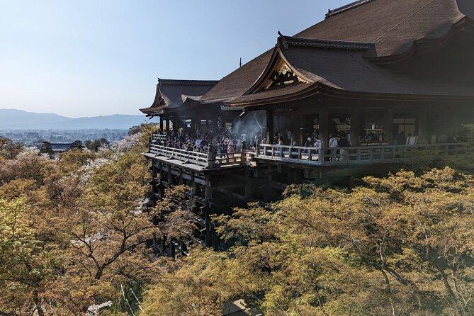 8 Hour Private Tour of Kyoto - Taking in the Serene Zen Gardens