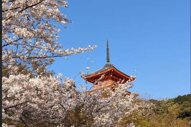 8 Hour Private Tour of Kyoto - Appreciating the Timeless Beauty of Kyotos Landscapes