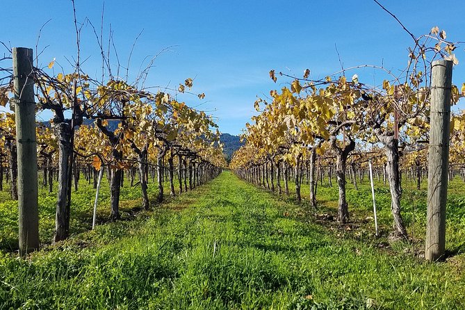 8 Hour Private Wine Country Tour (Sedan, SUV or Limo) - Pickup and Travel