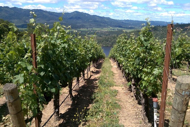 8 Hour Private Wine Country Tour (Sedan, SUV or Limo) - Frequently Asked Questions