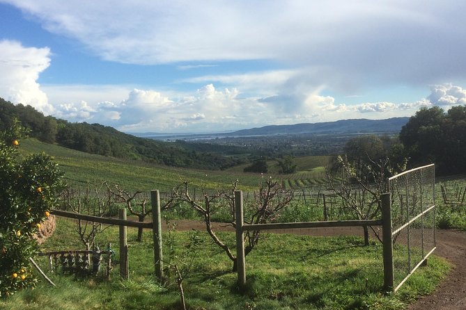 8-Hour Private Wine Tour Experience for up to 6 Guests - San Francisco to Sonoma - Winery Selections and Tastings