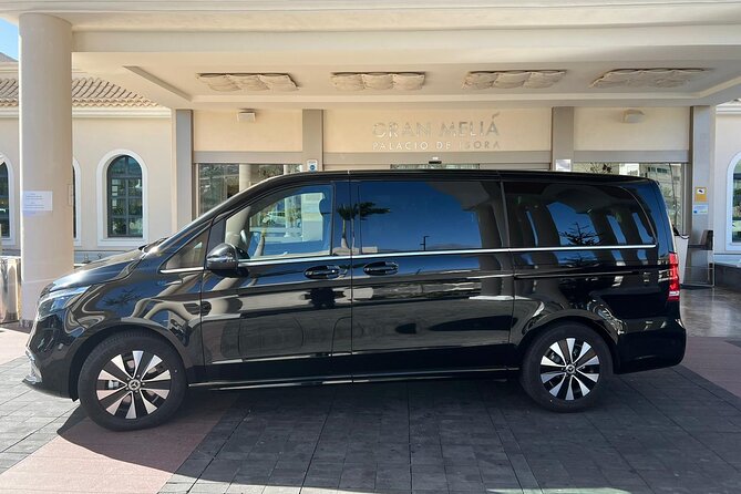 8-Hour Rental in a Luxury Car and Driver/Official Private Guide in Tenerife - Additional Information