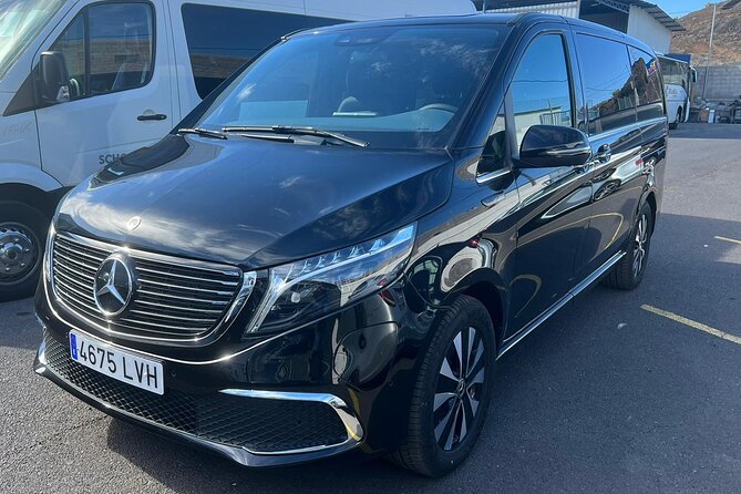 8-Hour Rental in a Luxury Car and Driver/Official Private Guide in Tenerife - Cancellation Policy