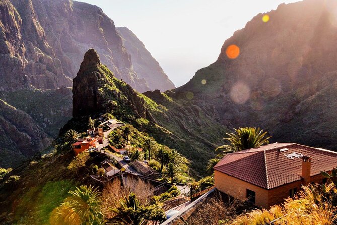 8-Hour Rental in a Luxury Car and Driver/Official Private Guide in Tenerife - Accessing Support