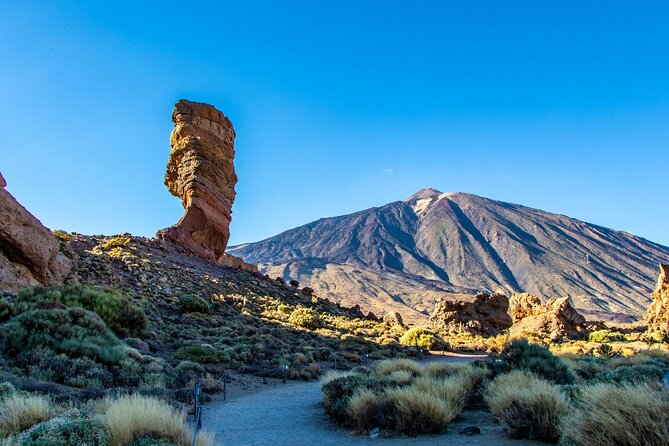 8-Hour Rental in a Luxury Car and Driver/Official Private Guide in Tenerife - Participant Reviews