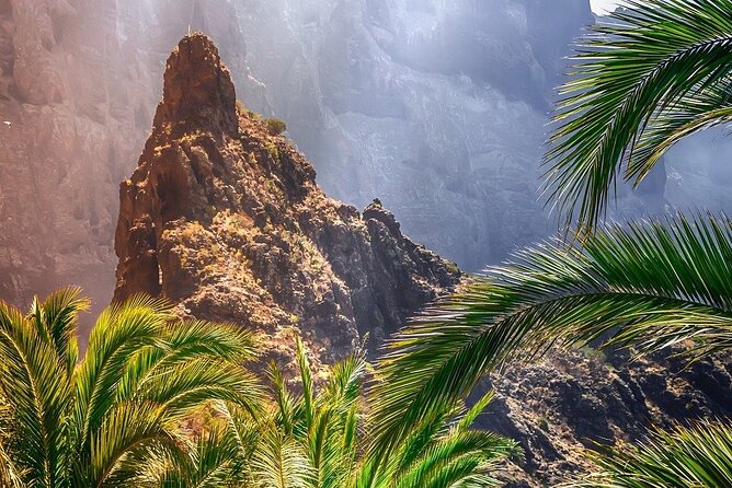 8-Hour Rental in a Luxury Car and Driver/Official Private Guide in Tenerife - Private Guide Service