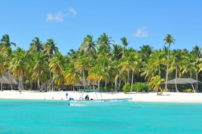 8-Hour Saona Party Boat and a Stop at a Natural Pool From Cap Cana - Safety and Accessibility