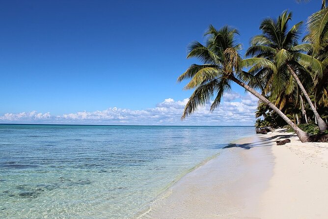 8-Hour Saona Party Boat and a Stop at a Natural Pool From Cap Cana - Additional Details