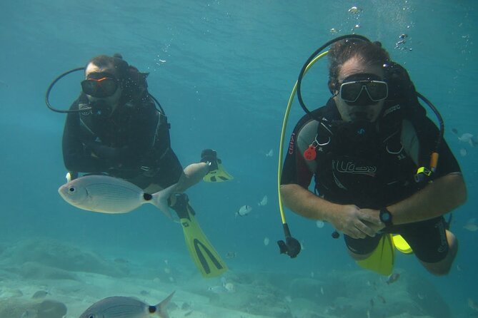8-Hour Scuba Diving Experience in Side With Lunch - Positive Feedback and Guest Reviews
