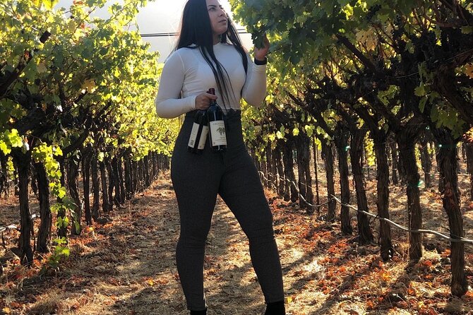 8 Hours 12 Passengers Limo Bus for Napa or Sonoma Wine Tour - Booking Information