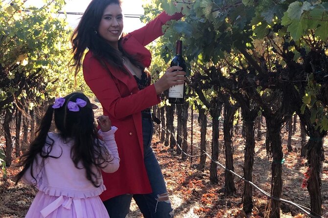 8 Hours 12 Passengers Limo Bus for Napa or Sonoma Wine Tour - Frequently Asked Questions