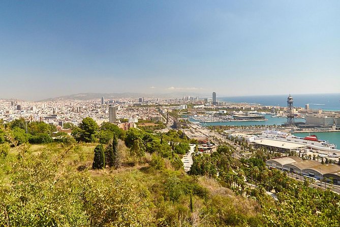 8 Hours Barcelona Highlights Private Tour - Lunch and Dining Recommendations