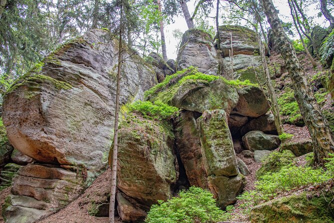 8 Hours Bohemian Paradise Private Tour by Car - Customer Support