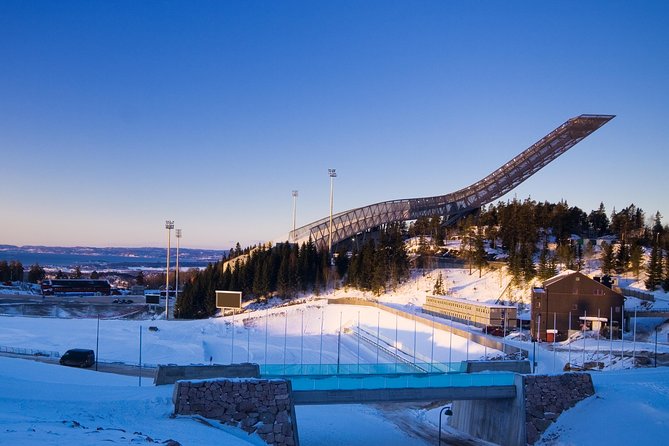 8 Hours Full-Day Exclusive Oslo Tailormade Guided Limo Tour - Best Cruise Shore! - Traveler Experience and Reviews