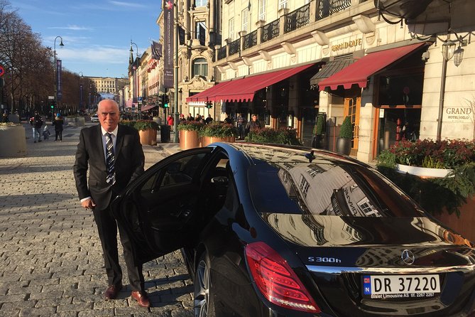 8 Hours Full-Day Exclusive Oslo Tailormade Guided Limo Tour - Best Cruise Shore! - Luxury Vehicle Options