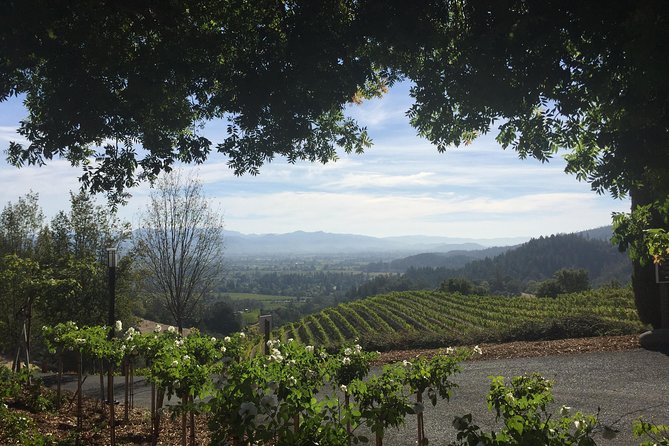8-Hours Napa Wine Tour From San Francisco to Napa CA , Sedan up to 4 People - Booking and Cancellation Policy
