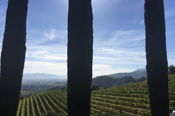 8-Hours Napa Wine Tour From San Francisco to Napa CA , Sedan up to 4 People - Winery Experience and Tastings