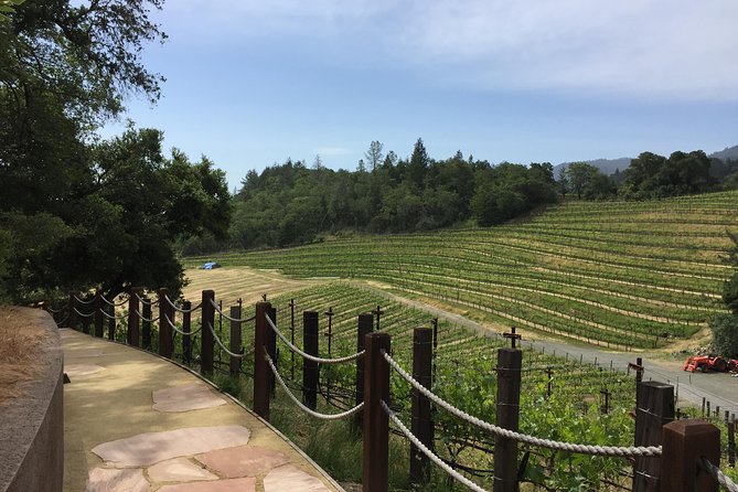 8-Hours Napa Wine Tour From San Francisco to Napa CA , Sedan up to 4 People - Frequently Asked Questions