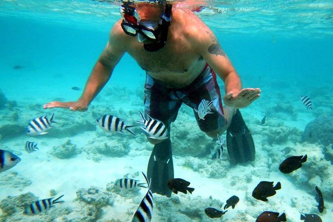 8 Hours Private Boat to Paradise or Orange Island With Lunch - Hurghada - Reviews and Ratings