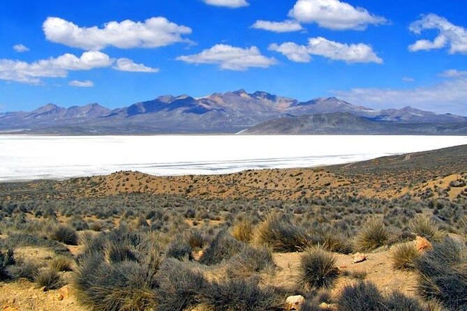 8-Hours Tour in Arequipa Laguna De Salinas With Pick-Up - Scenic Landscapes