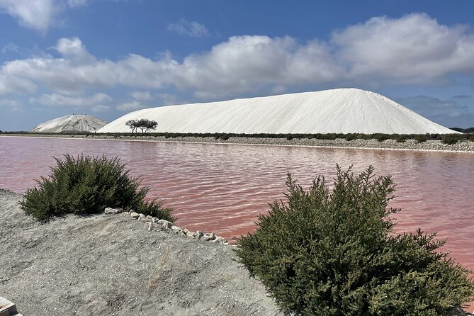 8 Hours Visit to the Camargue and the Salins D'Aigues-Mortes - Quick Points