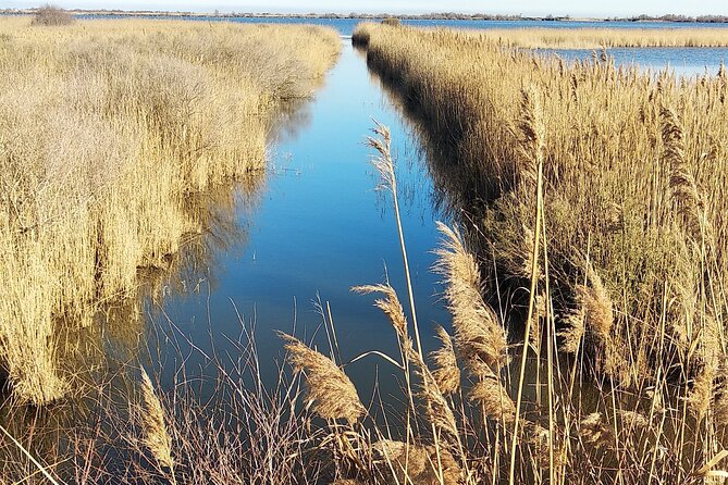8 Hours Visit to the Camargue and the Salins D'Aigues-Mortes - Discovering Aigues Mortes