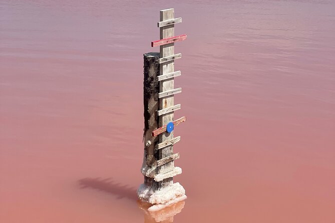 8 Hours Visit to the Camargue and the Salins D'Aigues-Mortes - Carbonnière Tower Viewpoint
