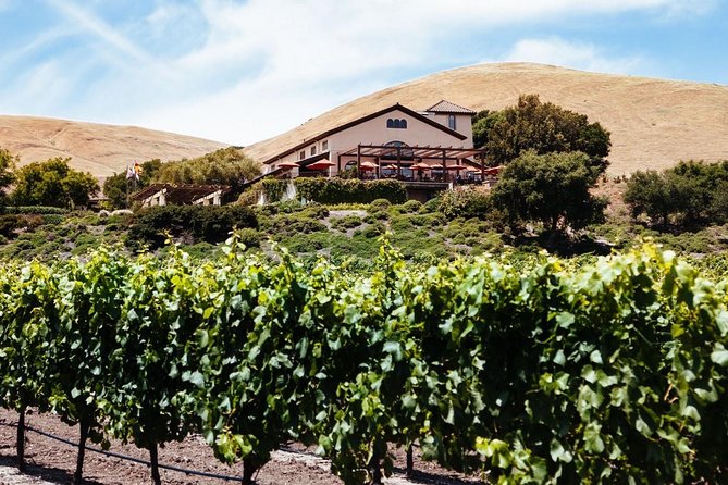 8-Hr Beer & Wine Tour of Sonoma/Napa From San Francisco in XL SUV - Exploring Sonoma and Napa