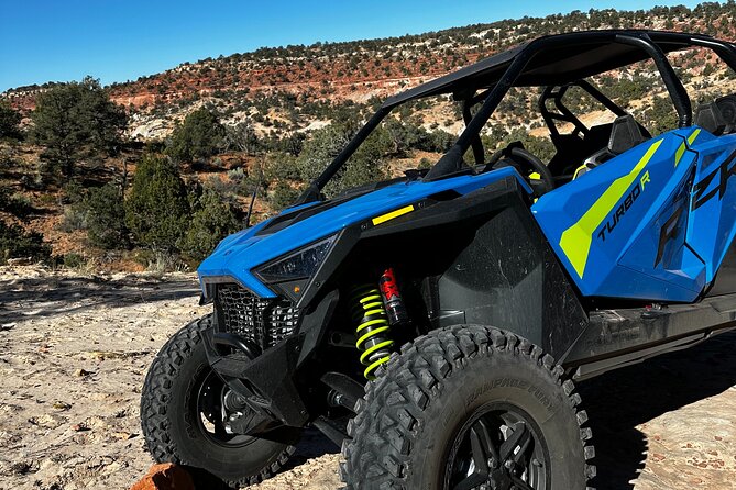 8 Hr RzR Rental - The Latest Model Polaris RzRs - Key Points